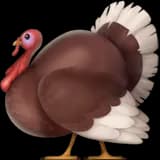 🦃