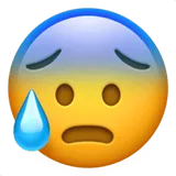 Anxious Face with Sweat