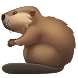 Beaver
