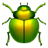 Beetle