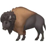 Bison