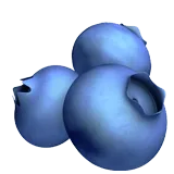 Blueberries