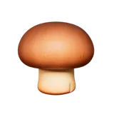 Brown Mushroom