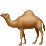 Camel