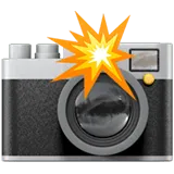 Camera with Flash