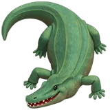 Crocodile