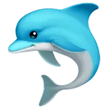 Dolphin