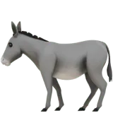 Donkey