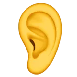 Ear