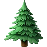 Evergreen Tree