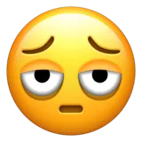 Face with Bags Under Eyes