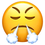 Face with Steam from Nose