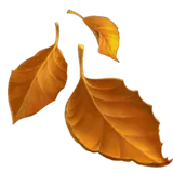 Fallen Leaf