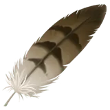 Feather