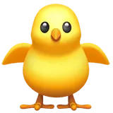 Front-Facing Baby Chick