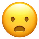 Frowning Face with Open Mouth