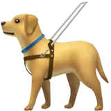 Guide Dog