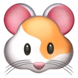 Hamster