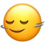 Head Shaking Horizontally