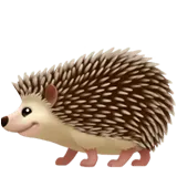 Hedgehog