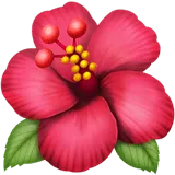 Hibiscus