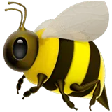 Honeybee