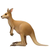 Kangaroo