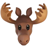 Moose