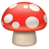 Mushroom