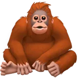 Orangutan