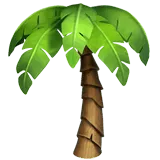 Palm Tree