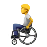 Person in Manual Wheelchair