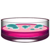 Petri Dish