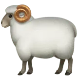 Ram