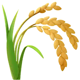 Sheaf of Rice