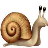 Snail