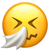 Sneezing Face