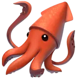 Squid