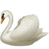 Swan