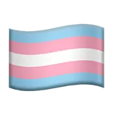 Transgender Flag