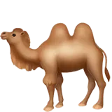 Two-Hump Camel