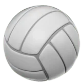 Volleyball