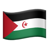 Flag: Western Sahara