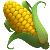 Ear Of Corn