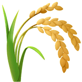 Sheaf Of Rice