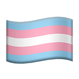 Transgender Flag