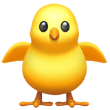 Front-facing Baby Chick
