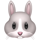 Rabbit Face