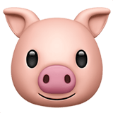 Pig Face