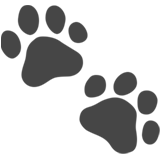 Paw Prints